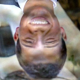DAPS run 3: upside-down face