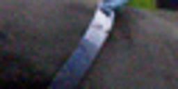 PC-DAPS particle 1 crop