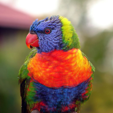 Reference dataset creation image
