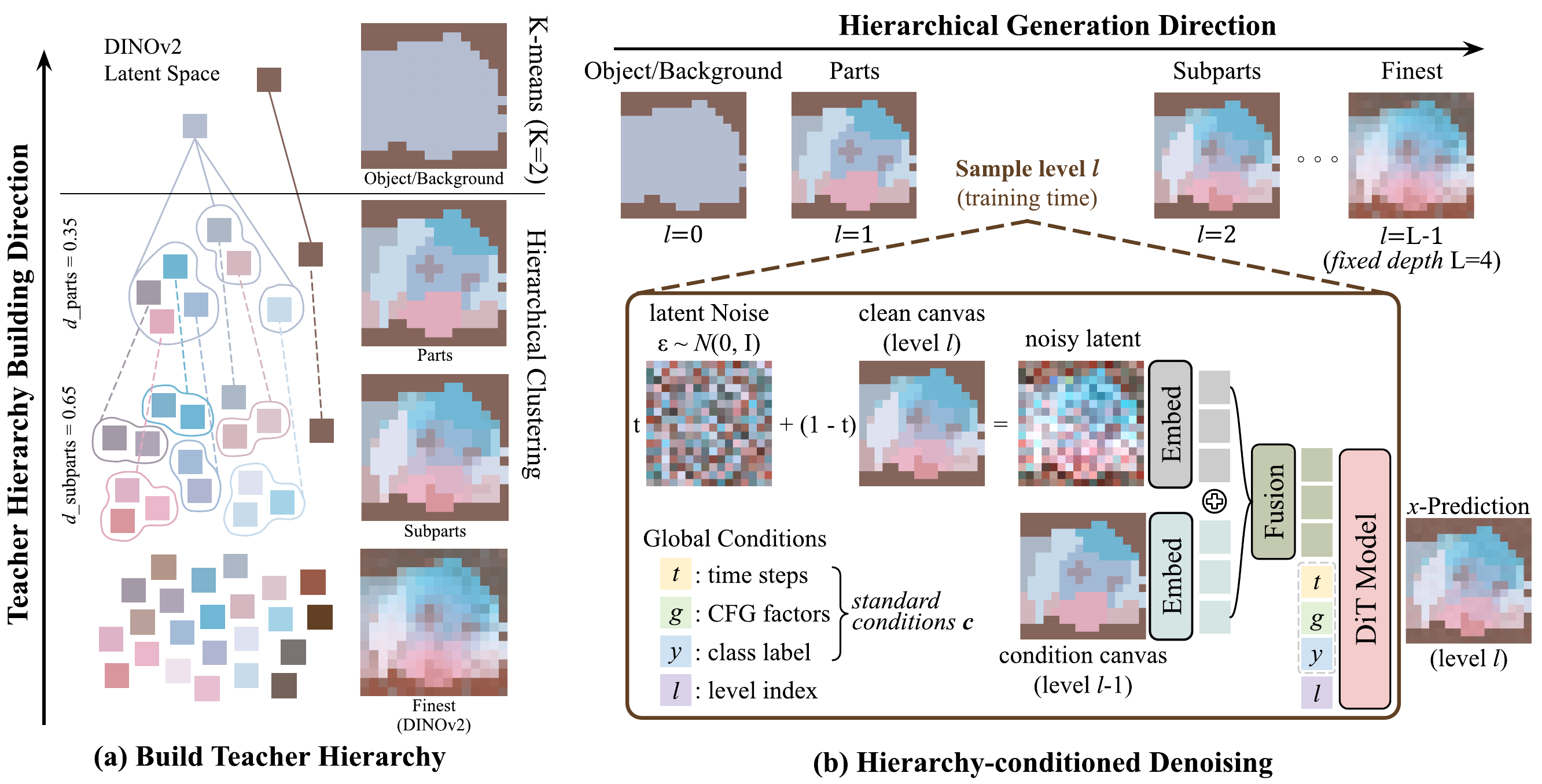 Trajectory Forcing pipeline: building the teacher hierarchy from DINOv2 features, and hierarchy-conditioned denoising with a single shared DiT.